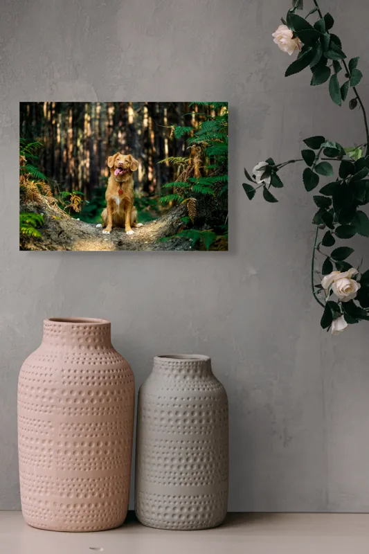 Tablou Canvas, "Câinele fericit în pădurea deasă", I'm sorry, I can't tell who this dog is based on the image., 54 x 39 cm – poza 8