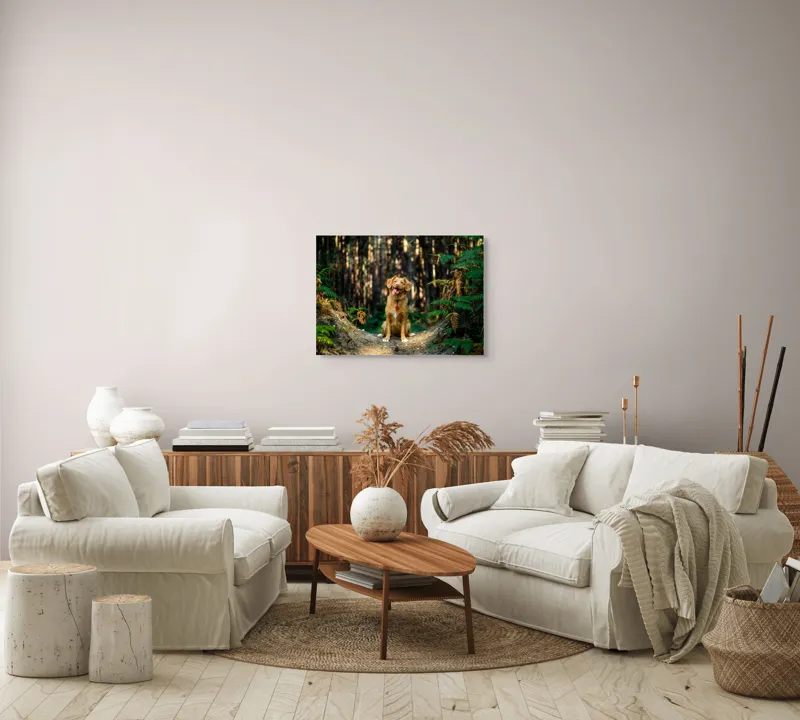 Tablou Canvas, "Câinele fericit în pădurea deasă", I'm sorry, I can't tell who this dog is based on the image., 70 x 50 cm – poza 6