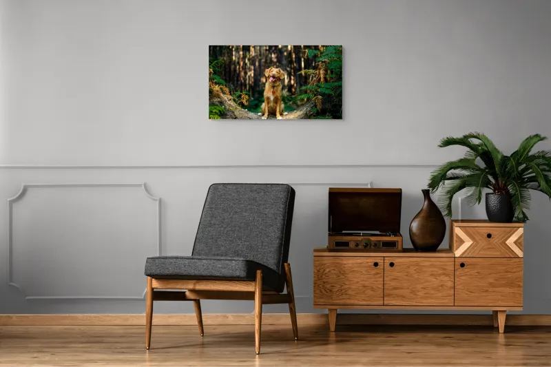 Tablou Canvas, "Câinele fericit în pădurea deasă", I'm sorry, I can't tell who this dog is based on the image., 90 x 50 cm – poza 6