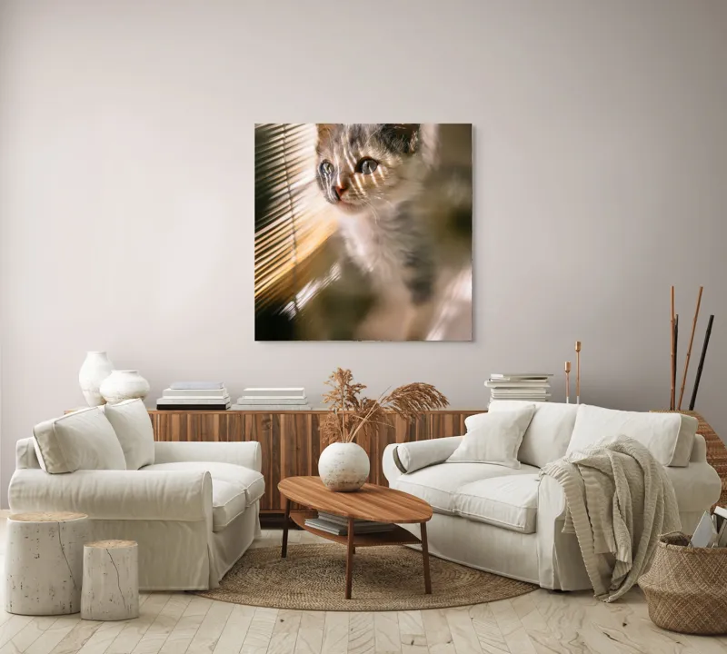 Tablou Canvas, "Pisoiul explorând lumina dimineții", Pisicuță, Lumini, Dungi, Ferestre, Blană, Gingașă, Privire, 100 x 100 cm – poza 3