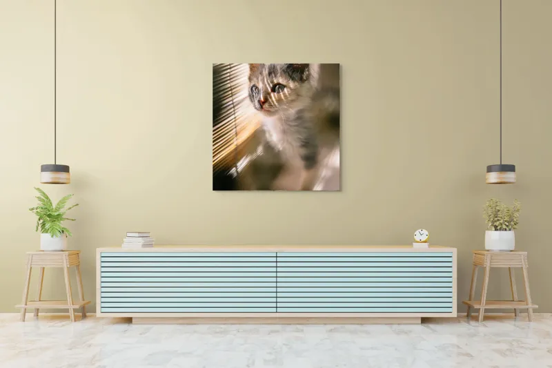 Tablou Canvas, "Pisoiul explorând lumina dimineții", Pisicuță, Lumini, Dungi, Ferestre, Blană, Gingașă, Privire, 100 x 100 cm – poza 5