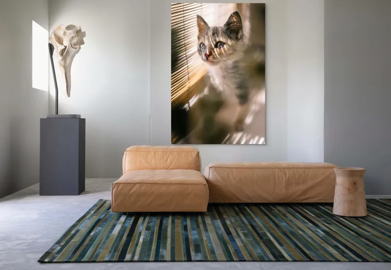 Tablou Canvas, "Pisoiul explorând lumina dimineții", Pisicuță, Lumini, Dungi, Ferestre, Blană, Gingașă, Privire, 100 x 150 cm – poza 7