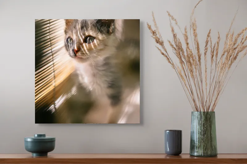 Tablou Canvas, "Pisoiul explorând lumina dimineții", Pisicuță, Lumini, Dungi, Ferestre, Blană, Gingașă, Privire, 50 x 50 cm – poza 4