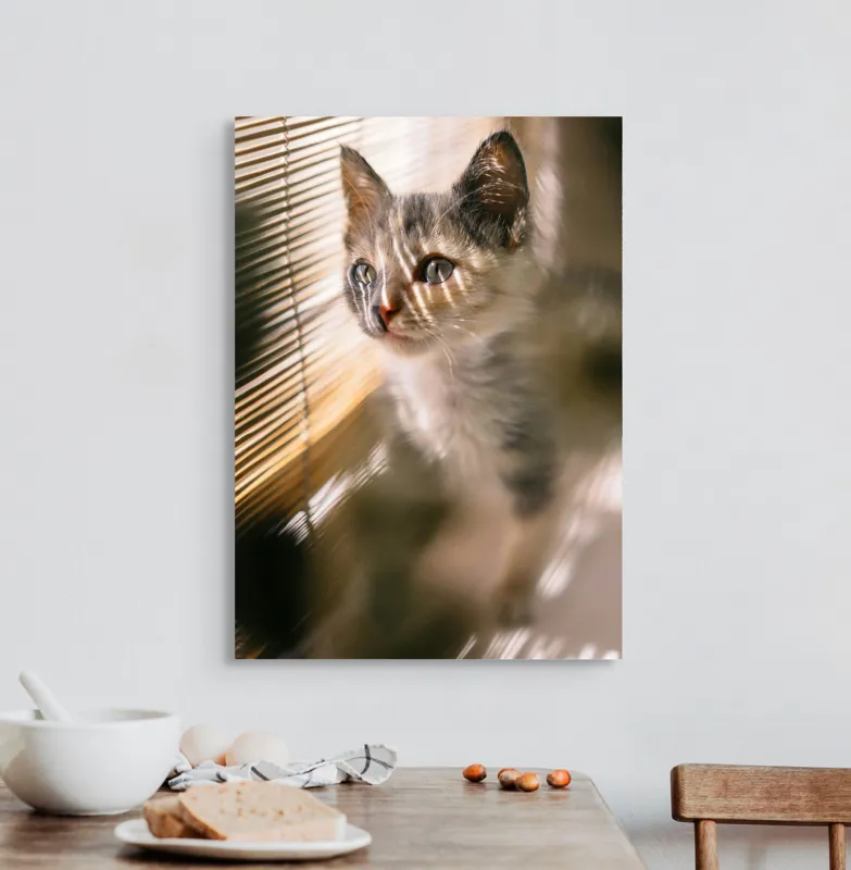 Tablou Canvas, "Pisoiul explorând lumina dimineții", Pisicuță, Lumini, Dungi, Ferestre, Blană, Gingașă, Privire, 50 x 70 cm – poza 3