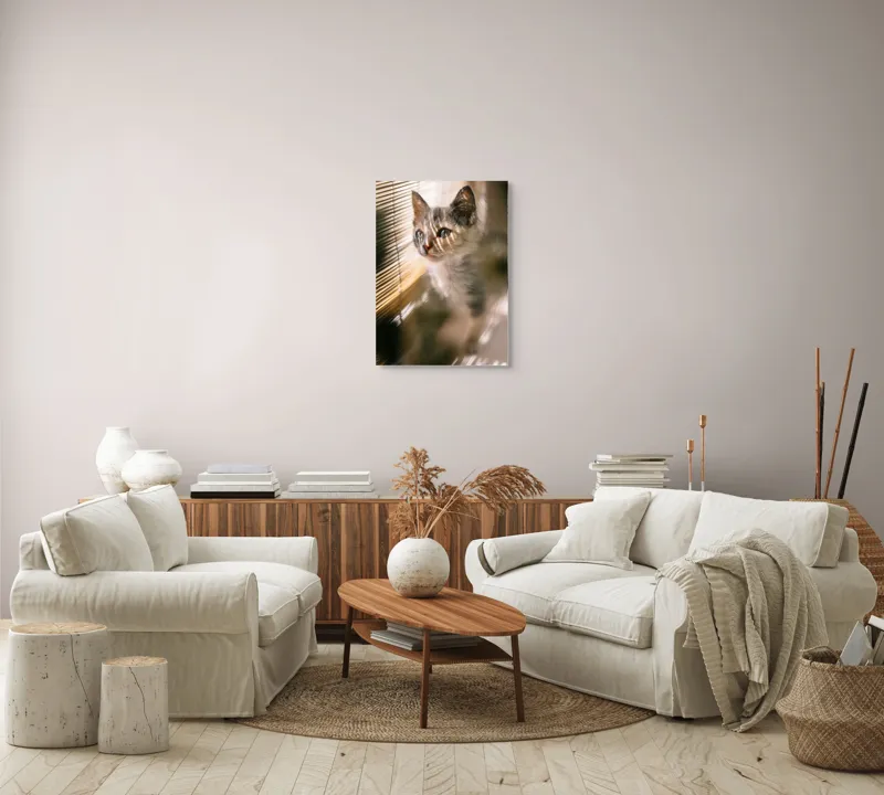 Tablou Canvas, "Pisoiul explorând lumina dimineții", Pisicuță, Lumini, Dungi, Ferestre, Blană, Gingașă, Privire, 50 x 70 cm – poza 4