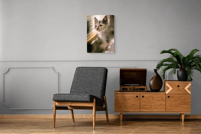 Tablou Canvas, "Pisoiul explorând lumina dimineții", Pisicuță, Lumini, Dungi, Ferestre, Blană, Gingașă, Privire, 50 x 70 cm – poza 8
