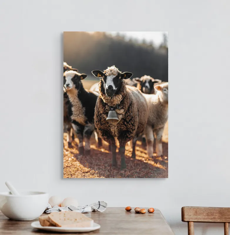 Tablou Canvas, "Oaia cu clopoțel în zori", Oi, Clopot, Lână, Peisaj, Apus, Turmă, Pășune, Natură, Lumină, Calm., 50 x 70 cm – poza 3