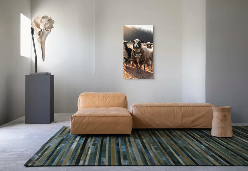 Tablou Canvas, "Oaia cu clopoțel în zori", Oi, Clopot, Lână, Peisaj, Apus, Turmă, Pășune, Natură, Lumină, Calm., 50 x 90 cm – poza 5
