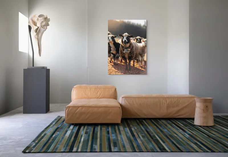 Tablou Canvas, "Oaia cu clopoțel în zori", Oi, Clopot, Lână, Peisaj, Apus, Turmă, Pășune, Natură, Lumină, Calm., 70 x 100 cm – poza 7