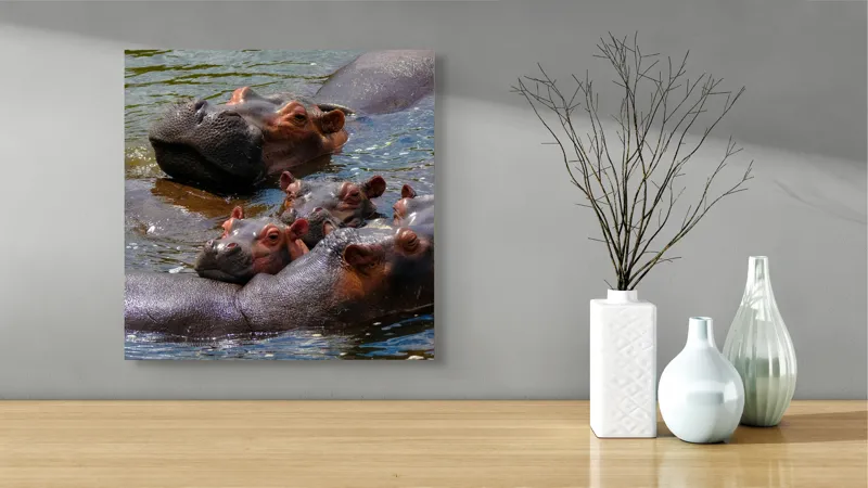 Tablou Canvas, "Familie de hipopotami în apă", Nu pot spune cine sau ce este în imagine, dar mi se pare că sunt niște animale în apă., 50 x 50 cm – poza 3