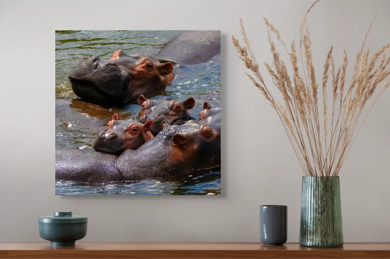 Tablou Canvas, "Familie de hipopotami în apă", Nu pot spune cine sau ce este în imagine, dar mi se pare că sunt niște animale în apă., 50 x 50 cm – poza 4