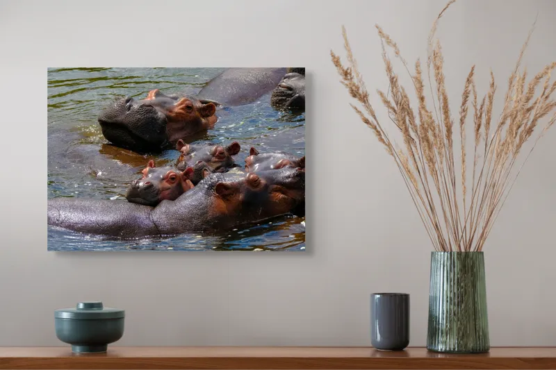 Tablou Canvas, "Familie de hipopotami în apă", Nu pot spune cine sau ce este în imagine, dar mi se pare că sunt niște animale în apă., 54 x 39 cm – poza 4