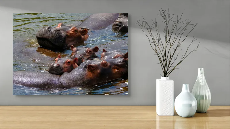 Tablou Canvas, "Familie de hipopotami în apă", Nu pot spune cine sau ce este în imagine, dar mi se pare că sunt niște animale în apă., 70 x 50 cm – poza 3