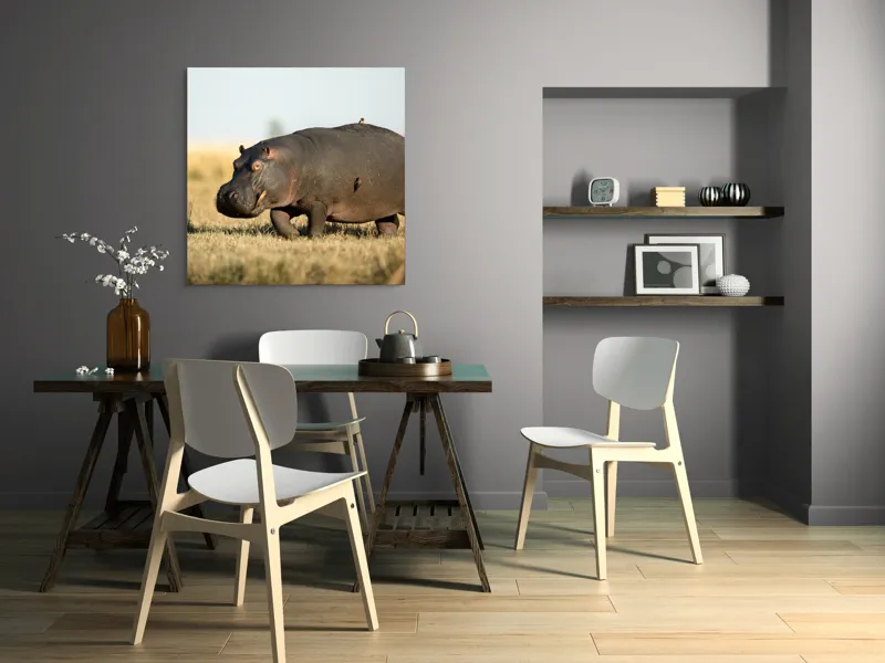 Tablou Canvas, "Hipopotam pe câmpie aurie africana", Hipopotam, Iarbă, Câmpie, Păsărică, Cer, Savană, Natură, Animale., 100 x 100 cm – poza 6