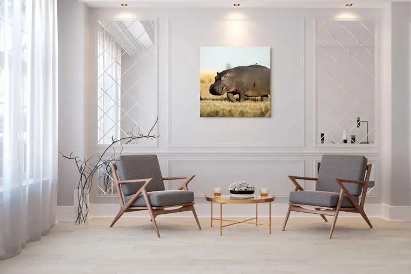 Tablou Canvas, "Hipopotam pe câmpie aurie africana", Hipopotam, Iarbă, Câmpie, Păsărică, Cer, Savană, Natură, Animale., 100 x 100 cm – poza 7