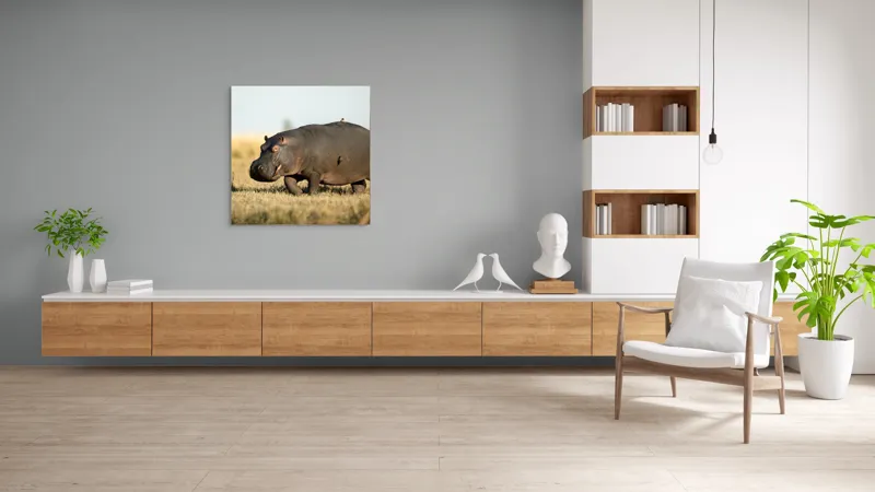 Tablou Canvas, "Hipopotam pe câmpie aurie africana", Hipopotam, Iarbă, Câmpie, Păsărică, Cer, Savană, Natură, Animale., 100 x 100 cm – poza 8