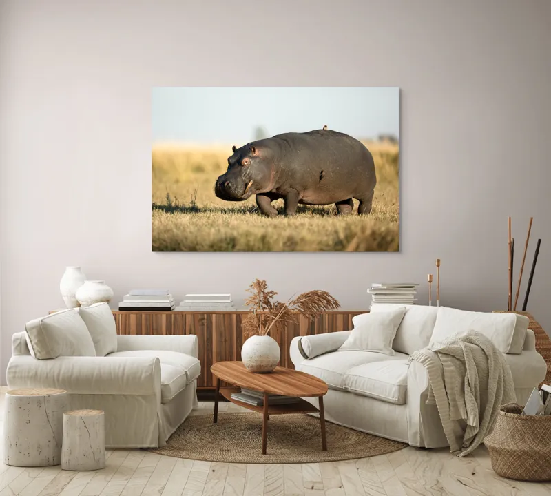Tablou Canvas, "Hipopotam pe câmpie aurie africana", Hipopotam, Iarbă, Câmpie, Păsărică, Cer, Savană, Natură, Animale., 150 x 100 cm – poza 3