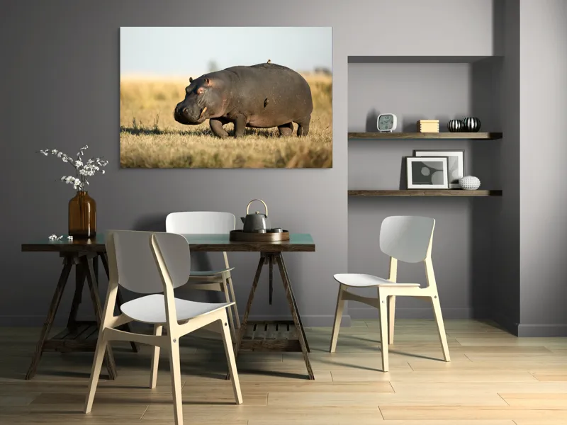 Tablou Canvas, "Hipopotam pe câmpie aurie africana", Hipopotam, Iarbă, Câmpie, Păsărică, Cer, Savană, Natură, Animale., 150 x 100 cm – poza 5
