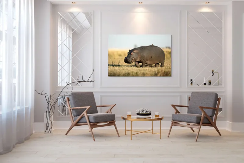 Tablou Canvas, "Hipopotam pe câmpie aurie africana", Hipopotam, Iarbă, Câmpie, Păsărică, Cer, Savană, Natură, Animale., 150 x 100 cm – poza 7