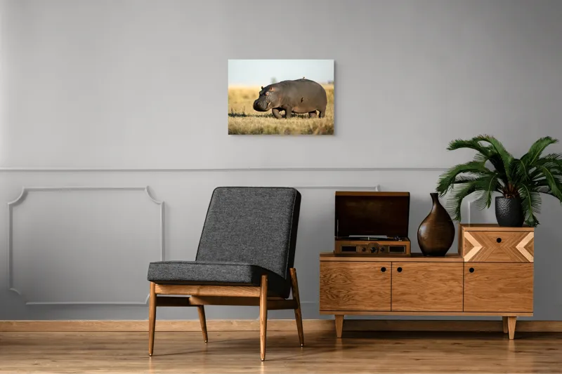 Tablou Canvas, "Hipopotam pe câmpie aurie africana", Hipopotam, Iarbă, Câmpie, Păsărică, Cer, Savană, Natură, Animale., 70 x 50 cm – poza 4