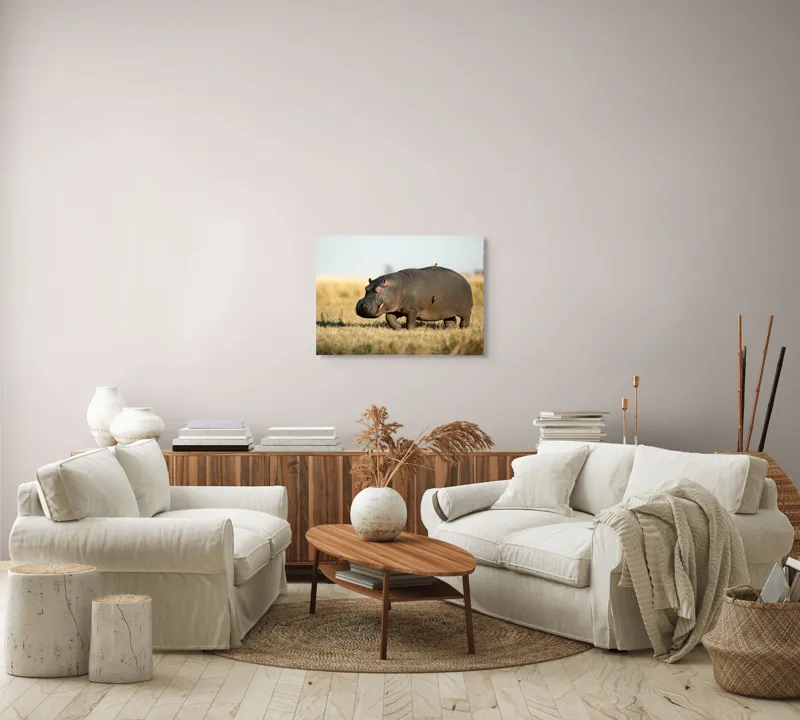 Tablou Canvas, "Hipopotam pe câmpie aurie africana", Hipopotam, Iarbă, Câmpie, Păsărică, Cer, Savană, Natură, Animale., 70 x 50 cm – poza 6