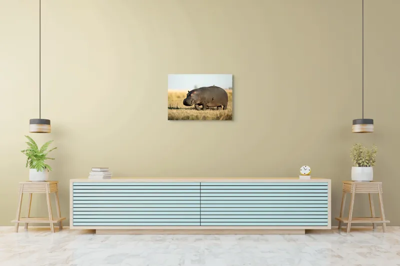 Tablou Canvas, "Hipopotam pe câmpie aurie africana", Hipopotam, Iarbă, Câmpie, Păsărică, Cer, Savană, Natură, Animale., 70 x 50 cm – poza 7