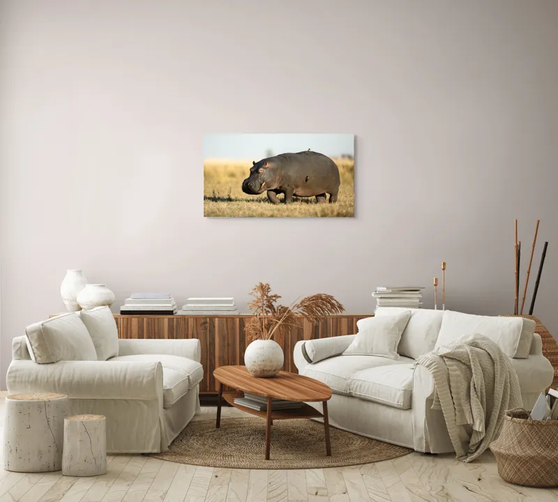 Tablou Canvas, "Hipopotam pe câmpie aurie africana", Hipopotam, Iarbă, Câmpie, Păsărică, Cer, Savană, Natură, Animale., 90 x 50 cm – poza 4