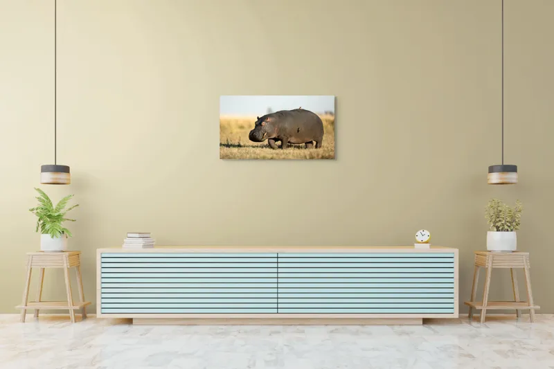 Tablou Canvas, "Hipopotam pe câmpie aurie africana", Hipopotam, Iarbă, Câmpie, Păsărică, Cer, Savană, Natură, Animale., 90 x 50 cm – poza 5