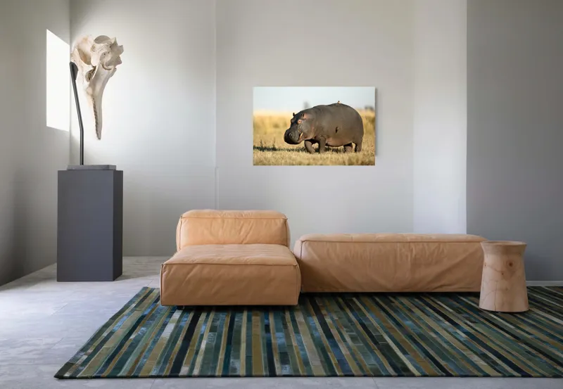 Tablou Canvas, "Hipopotam pe câmpie aurie africana", Hipopotam, Iarbă, Câmpie, Păsărică, Cer, Savană, Natură, Animale., 90 x 50 cm – poza 8