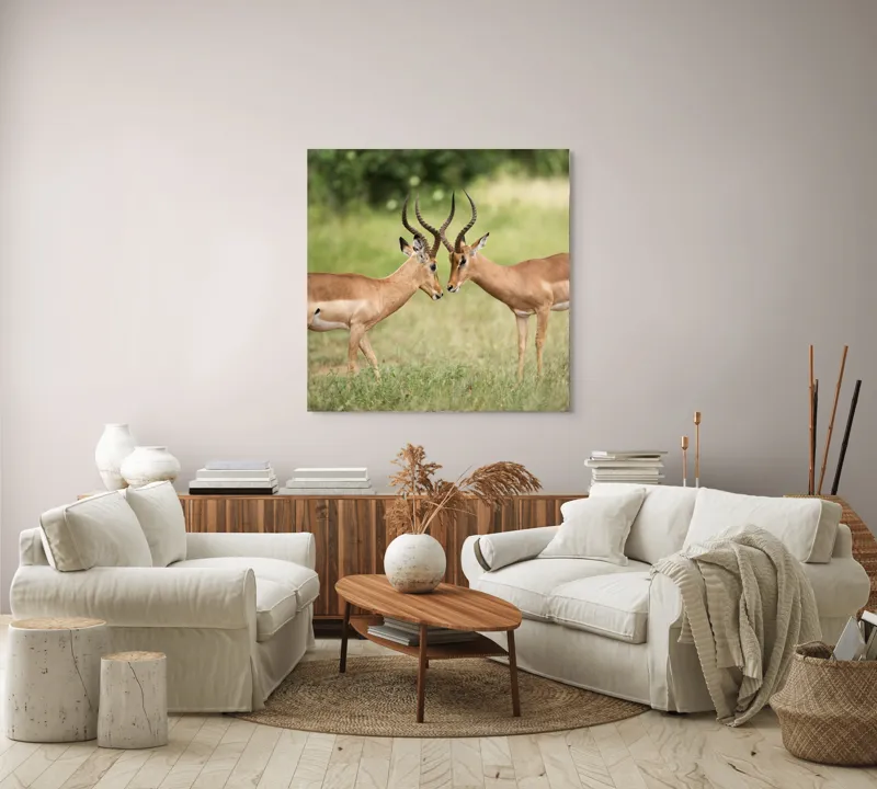 Tablou Canvas, "Întâlnirea grațioasă a antilopelor în savană", Cele două antilope, Natură, Serengeti, Hornuri, Iarbă, Interacțiune, Simetrie, Sălbăticie, Vigilent., 100 x 100 cm – poza 3