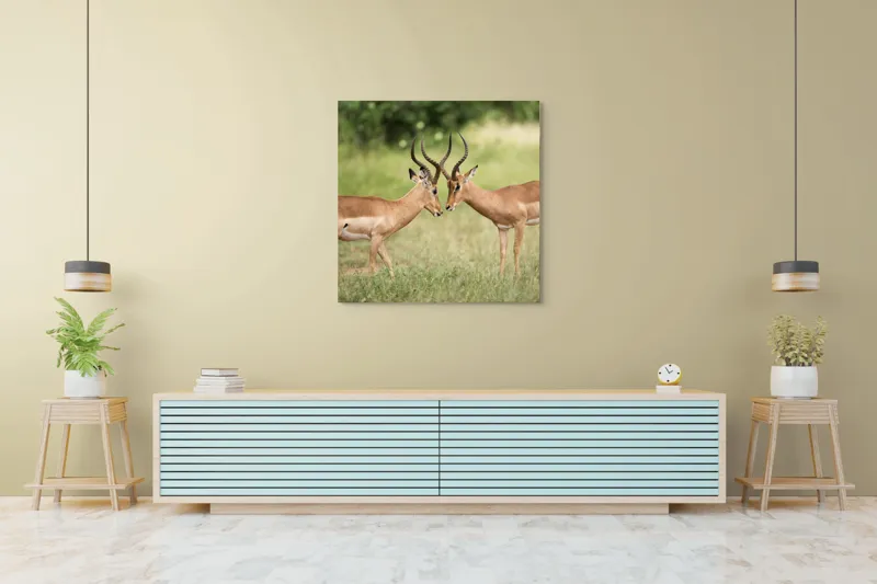 Tablou Canvas, "Întâlnirea grațioasă a antilopelor în savană", Cele două antilope, Natură, Serengeti, Hornuri, Iarbă, Interacțiune, Simetrie, Sălbăticie, Vigilent., 100 x 100 cm – poza 5