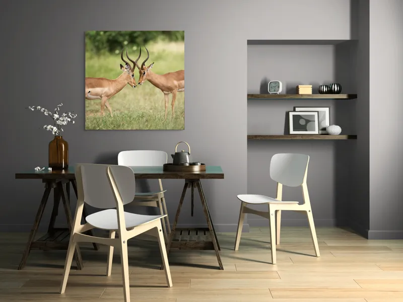 Tablou Canvas, "Întâlnirea grațioasă a antilopelor în savană", Cele două antilope, Natură, Serengeti, Hornuri, Iarbă, Interacțiune, Simetrie, Sălbăticie, Vigilent., 100 x 100 cm – poza 6