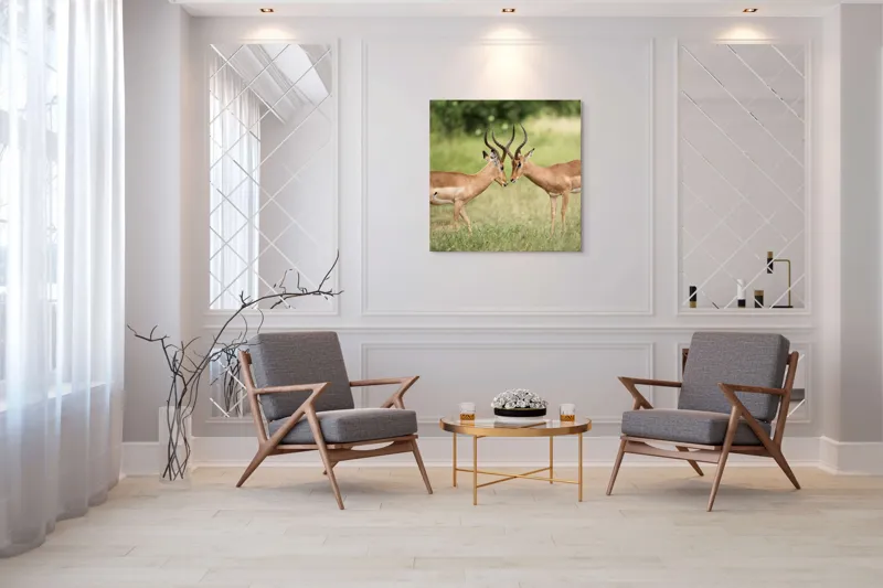 Tablou Canvas, "Întâlnirea grațioasă a antilopelor în savană", Cele două antilope, Natură, Serengeti, Hornuri, Iarbă, Interacțiune, Simetrie, Sălbăticie, Vigilent., 100 x 100 cm – poza 7