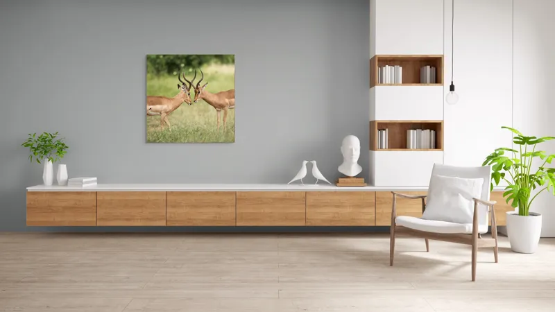 Tablou Canvas, "Întâlnirea grațioasă a antilopelor în savană", Cele două antilope, Natură, Serengeti, Hornuri, Iarbă, Interacțiune, Simetrie, Sălbăticie, Vigilent., 100 x 100 cm – poza 8