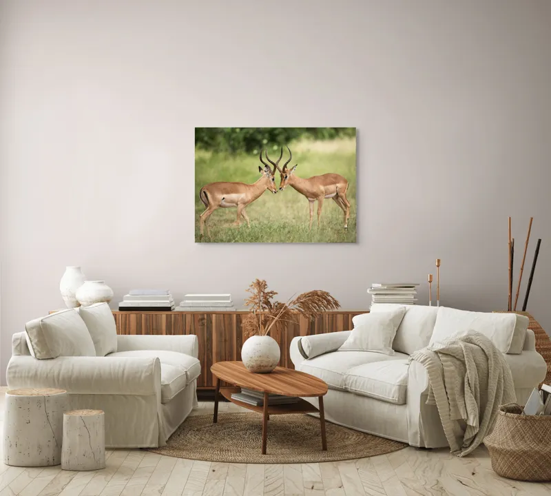 Tablou Canvas, "Întâlnirea grațioasă a antilopelor în savană", Cele două antilope, Natură, Serengeti, Hornuri, Iarbă, Interacțiune, Simetrie, Sălbăticie, Vigilent., 100 x 70 cm – poza 3