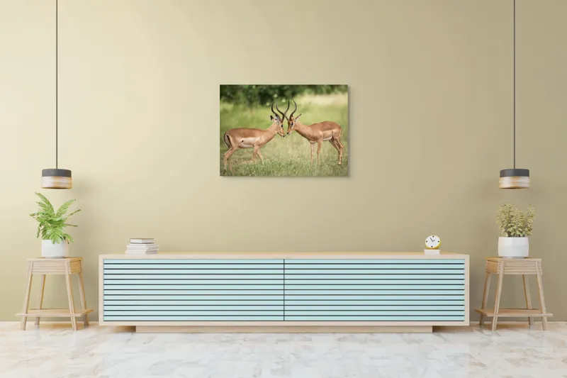Tablou Canvas, "Întâlnirea grațioasă a antilopelor în savană", Cele două antilope, Natură, Serengeti, Hornuri, Iarbă, Interacțiune, Simetrie, Sălbăticie, Vigilent., 100 x 70 cm – poza 4