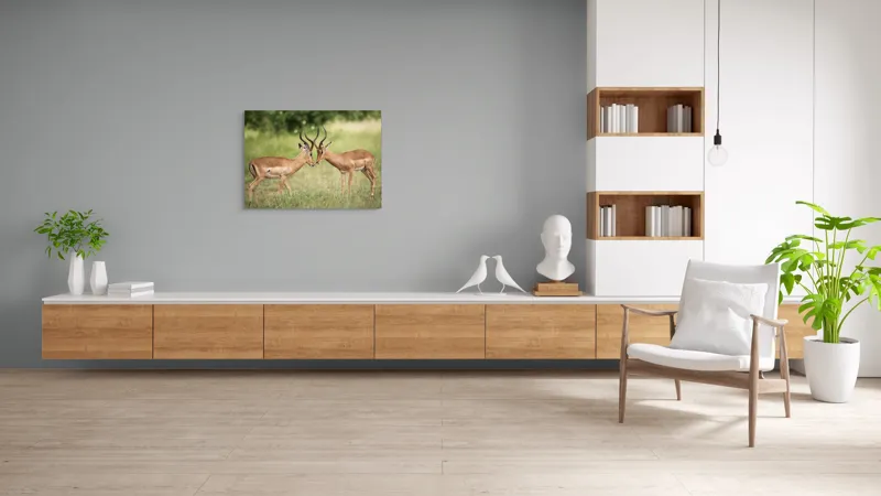 Tablou Canvas, "Întâlnirea grațioasă a antilopelor în savană", Cele două antilope, Natură, Serengeti, Hornuri, Iarbă, Interacțiune, Simetrie, Sălbăticie, Vigilent., 100 x 70 cm – poza 6