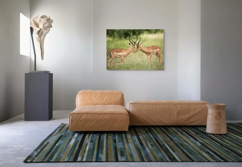 Tablou Canvas, "Întâlnirea grațioasă a antilopelor în savană", Cele două antilope, Natură, Serengeti, Hornuri, Iarbă, Interacțiune, Simetrie, Sălbăticie, Vigilent., 100 x 70 cm – poza 7