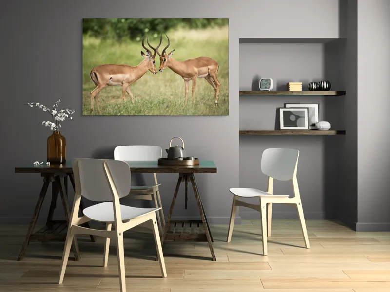 Tablou Canvas, "Întâlnirea grațioasă a antilopelor în savană", Cele două antilope, Natură, Serengeti, Hornuri, Iarbă, Interacțiune, Simetrie, Sălbăticie, Vigilent., 150 x 100 cm – poza 5