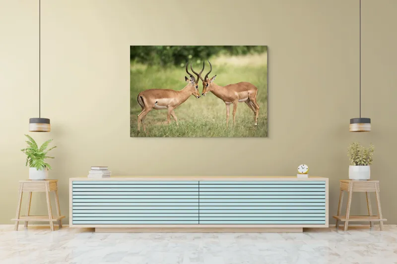 Tablou Canvas, "Întâlnirea grațioasă a antilopelor în savană", Cele două antilope, Natură, Serengeti, Hornuri, Iarbă, Interacțiune, Simetrie, Sălbăticie, Vigilent., 150 x 100 cm – poza 6