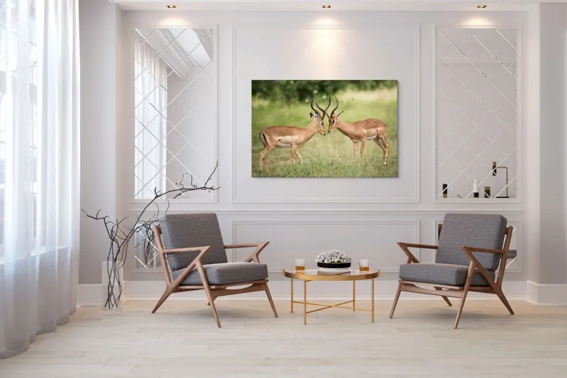 Tablou Canvas, "Întâlnirea grațioasă a antilopelor în savană", Cele două antilope, Natură, Serengeti, Hornuri, Iarbă, Interacțiune, Simetrie, Sălbăticie, Vigilent., 150 x 100 cm – poza 7