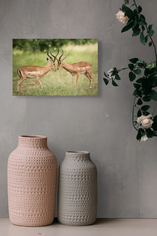 Tablou Canvas, "Întâlnirea grațioasă a antilopelor în savană", Cele două antilope, Natură, Serengeti, Hornuri, Iarbă, Interacțiune, Simetrie, Sălbăticie, Vigilent., 39 x 26 cm – poza 4