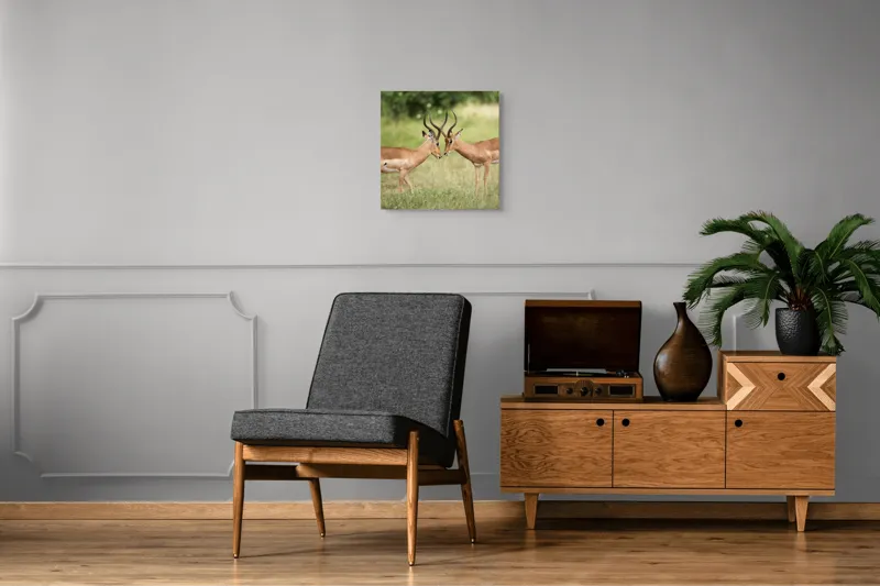 Tablou Canvas, "Întâlnirea grațioasă a antilopelor în savană", Cele două antilope, Natură, Serengeti, Hornuri, Iarbă, Interacțiune, Simetrie, Sălbăticie, Vigilent., 50 x 50 cm – poza 6