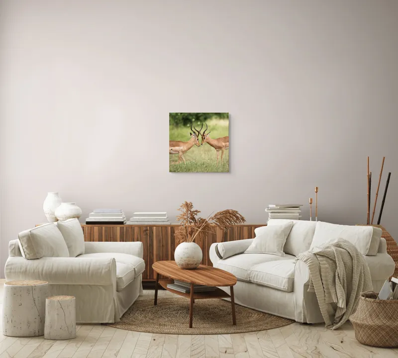 Tablou Canvas, "Întâlnirea grațioasă a antilopelor în savană", Cele două antilope, Natură, Serengeti, Hornuri, Iarbă, Interacțiune, Simetrie, Sălbăticie, Vigilent., 50 x 50 cm – poza 7