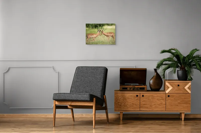 Tablou Canvas, "Întâlnirea grațioasă a antilopelor în savană", Cele două antilope, Natură, Serengeti, Hornuri, Iarbă, Interacțiune, Simetrie, Sălbăticie, Vigilent., 54 x 39 cm – poza 7