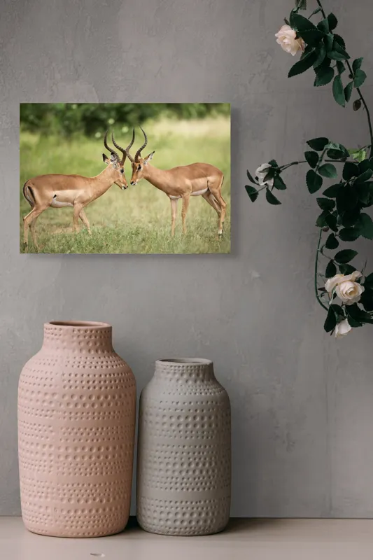 Tablou Canvas, "Întâlnirea grațioasă a antilopelor în savană", Cele două antilope, Natură, Serengeti, Hornuri, Iarbă, Interacțiune, Simetrie, Sălbăticie, Vigilent., 54 x 39 cm – poza 8