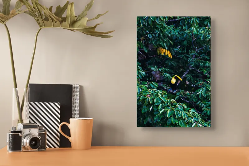 Tablou Canvas, "Tucan printre frunze de smarald", Verde, Frunziș, Tucan, Camuflaj, Natură, Exotic, Galben, Copac, Păsări, Frumusețe, 26 x 39 cm – poza 3
