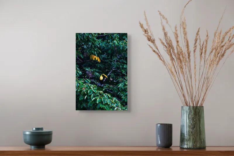 Tablou Canvas, "Tucan printre frunze de smarald", Verde, Frunziș, Tucan, Camuflaj, Natură, Exotic, Galben, Copac, Păsări, Frumusețe, 26 x 39 cm – poza 5