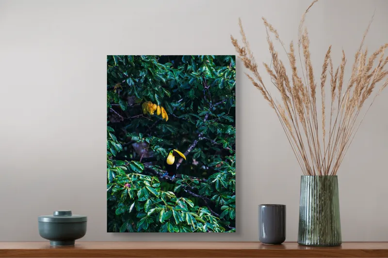 Tablou Canvas, "Tucan printre frunze de smarald", Verde, Frunziș, Tucan, Camuflaj, Natură, Exotic, Galben, Copac, Păsări, Frumusețe, 39 x 54 cm – poza 3