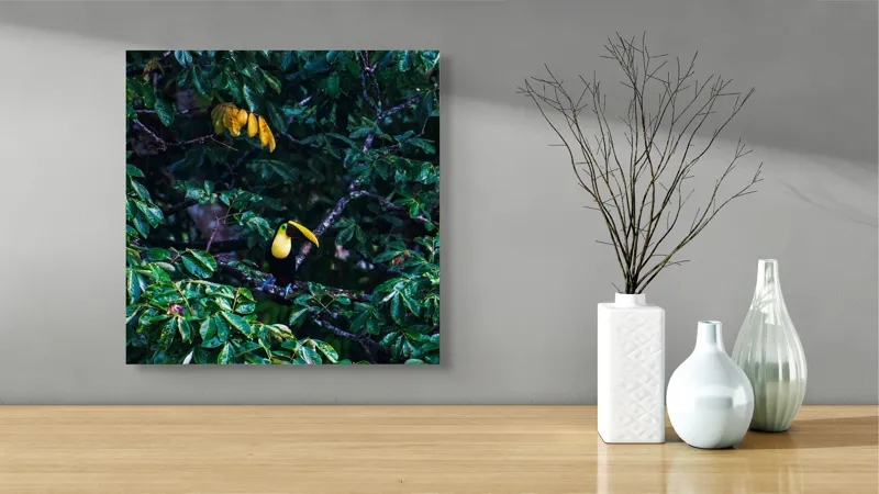 Tablou Canvas, "Tucan printre frunze de smarald", Verde, Frunziș, Tucan, Camuflaj, Natură, Exotic, Galben, Copac, Păsări, Frumusețe, 50 x 50 cm – poza 3
